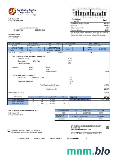 USA Texas San Patricio Electric Corporative rachunek za usługi komunalne szablon w formacie Word i PDF